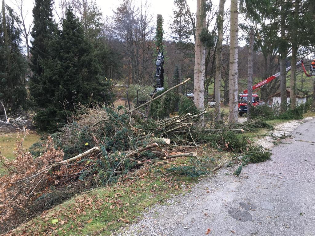 Holzarbeiten Gartenpflege Grünanlagenpflege